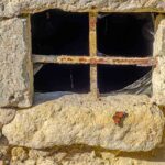 Un papillon, une fenêtre, des barreaux, à Charroux