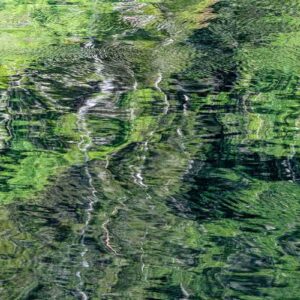 photographie d'un reflet dans l'anse Saint-Laurent, Forêt Fouesnant, double paréidolie, deux corps enlacés et une tête.