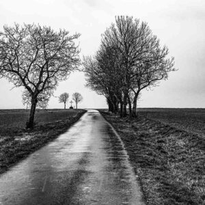 Des arbres, une route, une croix à Charroux, en noir et blanc profond, très contrasté. "Un des Plus beaux Villages de France®, Allier. Auvergne.