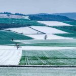 Champs verts sous la neige à Charroux