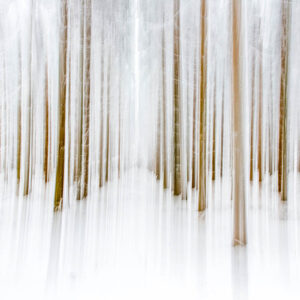 Photographie verticale blancheur en forêt du lac de Guéry en hiver avec la neige, avec un effet de mouvement, massif du Sancy.