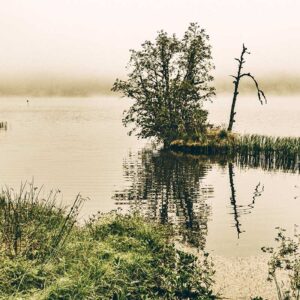 photographie le lac de Servières avec le brouillard, une ambiance mystérieuse, sobriété, comme une peinture vivante.