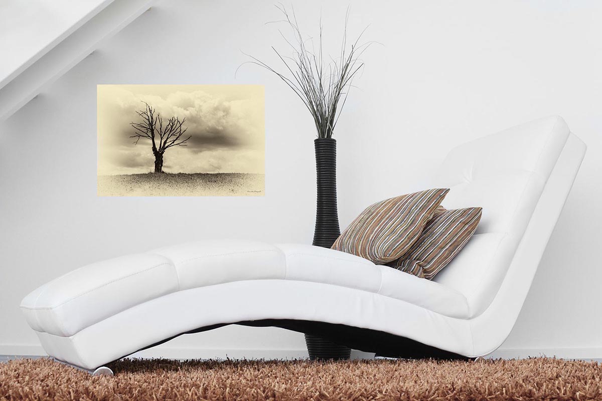 photographie noir et blanc sépia d'un orme mort dans un champ en Corrèze, Minimalisme. Présentée ici dans un salon.