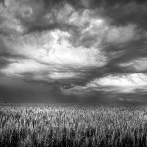 Photographie en noir et blanc d'un champ de culture de blé en Limagne sous un ciel d'orage, avec un puits de lumière blanche.