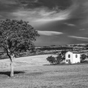 photographie Les coteaux des Vaugondières en Limagne, Cournon d'Auvergne, en noir et blanc subtil.