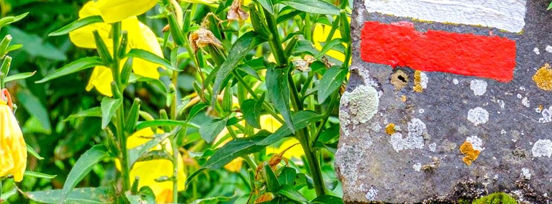 L’intelligence artificielle et la photographie