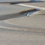 Un serpent de mer en baie de Somme