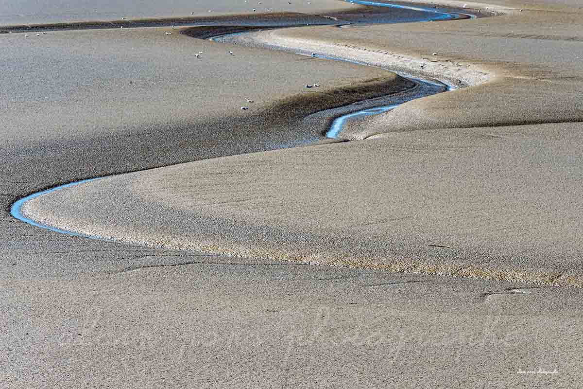 Un serpent de mer en Baie de Somme, ondulation d'un cours d'eau sur une étendue de sable.