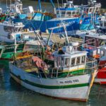 Bateaux de pêche artisanale à Brest