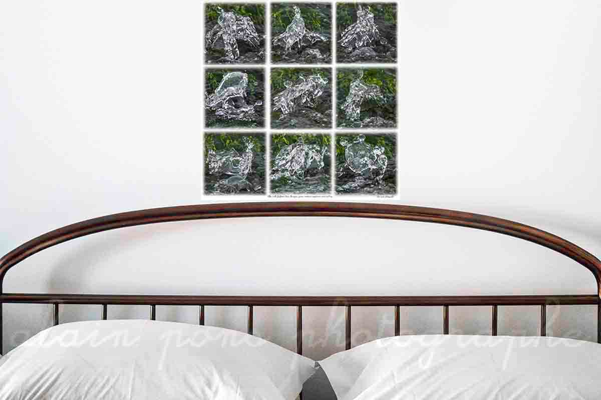 Photographies de jets d'eau qui prennent des formes d'elfe, de troll, de farfadet, de lutin, de korrigan. Des apparitions de créatures, imaginaires bien sûr.