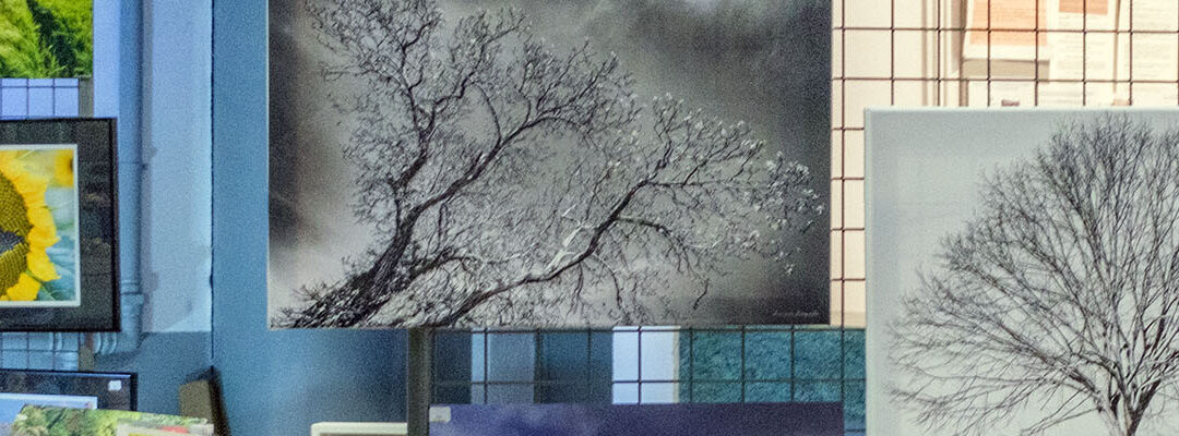 Le métier de photographe en France en 2023