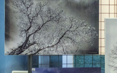 Le métier de photographe en France en 2023