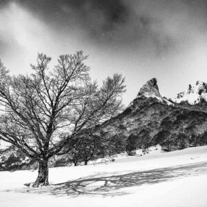 Photographie en noir et blanc de la vallée de Chaudefour sous la neige.