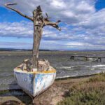 Un arbre en mât de bateau, Corbières