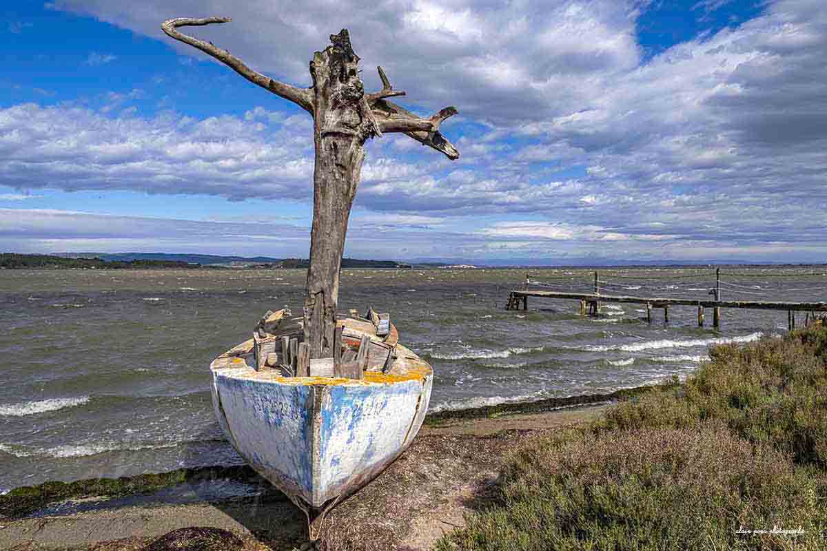 Photographie d'un bateau, un canot avec un mât en tronc d'arbre au bord d'un étang dans les Corbières, version couleur.