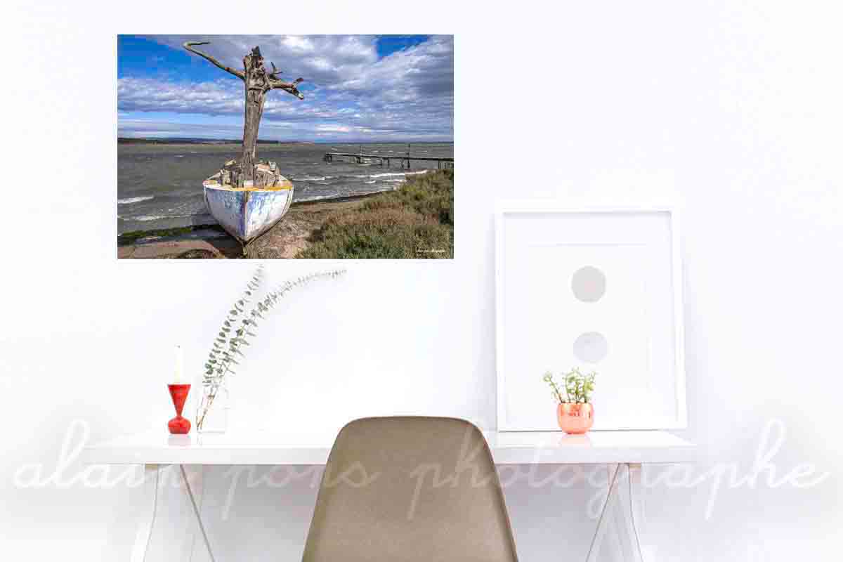 Photographie en couleur d'un bateau, un canot avec un mât en tronc d'arbre au bord d'un étang dans les Corbières. Ici présenté en simulation de décoration dans un bureau.