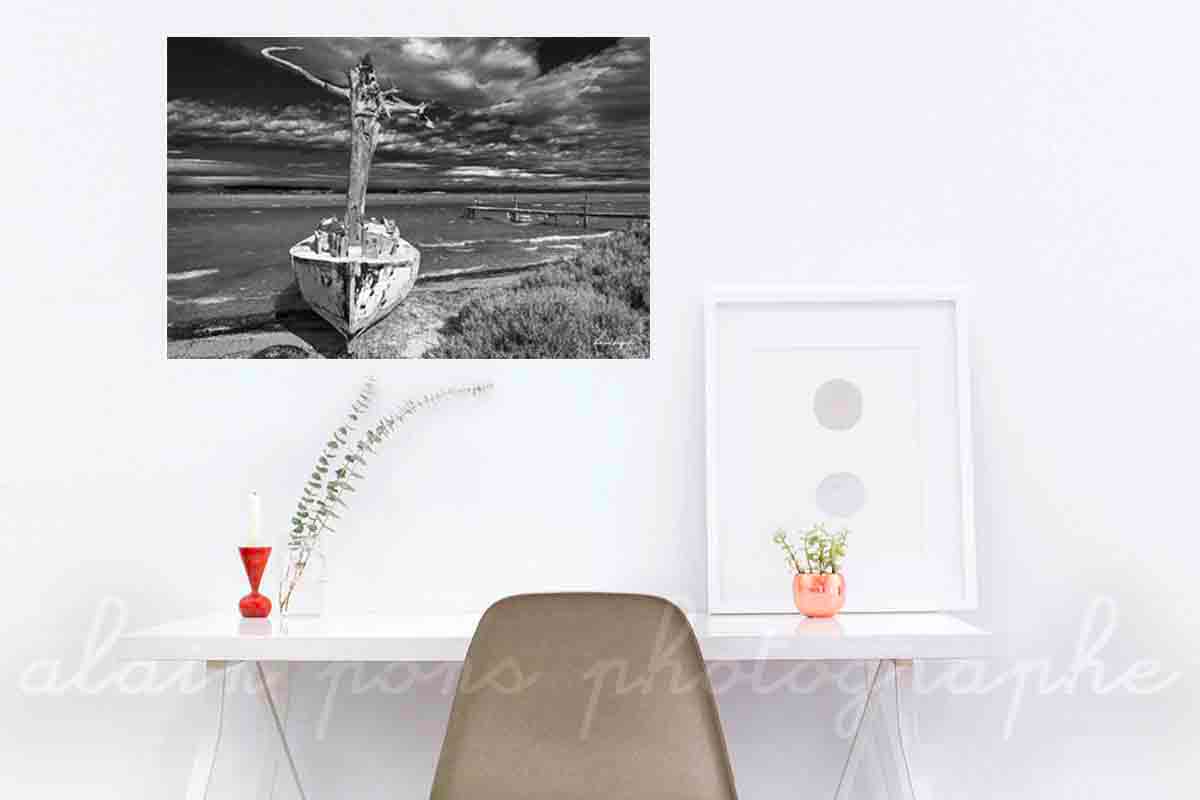 Photographie d'un bateau, un canot avec un mât en tronc d'arbre au bord d'un étang dans les Corbières. Ici présenté en simulation de décoration dans un bureau. Version noir et blanc.