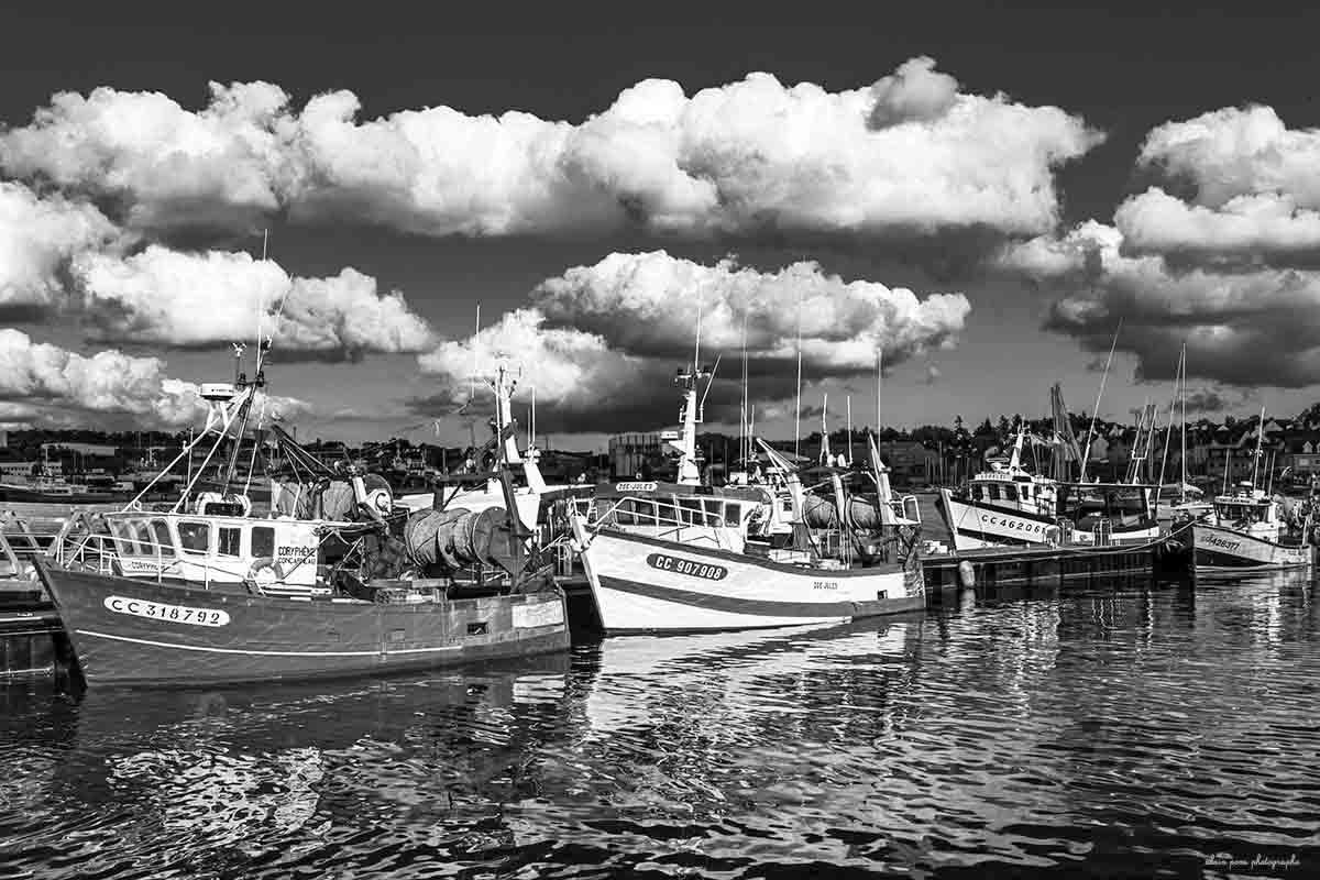 Photographie noir et blanc des bateaux de pêche à Concarneau. Une belle flottille artisanale et industrielle.