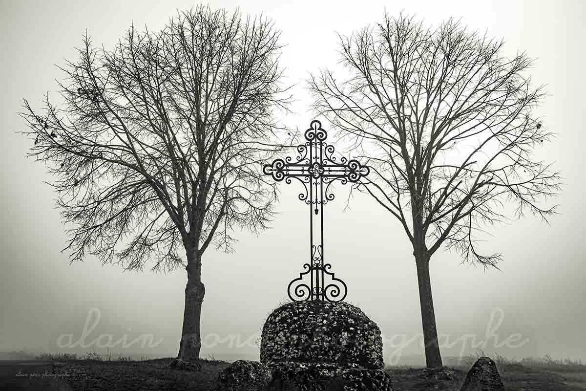 photographie de la croix entre deux arbres à Charroux, dans le brouillard, en noir et blanc, alain pons photographe