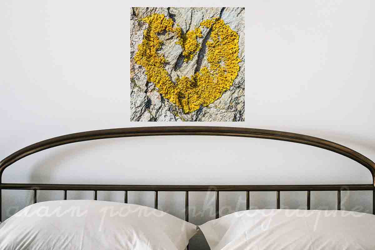 Photographie d'un cœur en lichen, sur un rocher, à Belle-Île-en-Mer, en affichage décoratif ici dans une chambre,