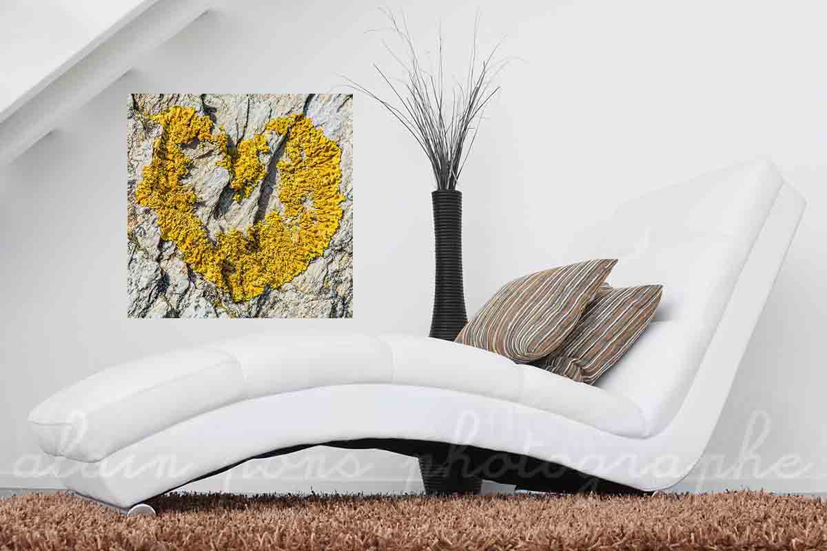 Photographie d'un cœur en lichen, sur un rocher, à Belle-Île-en-Mer, en affichage décoratif ici dans un salon.