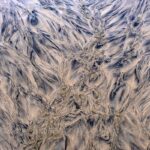 photographie la Nature a des yeux