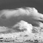 Tempête Nelson le chien couché