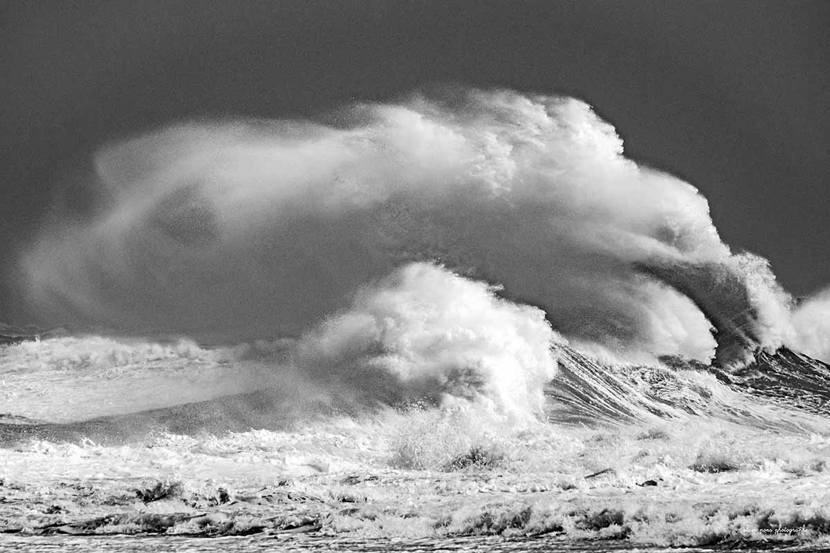 photographie d'une vague représentant un chien couché, en face de la digue à Lesconil, tempête Nelson du 28 mars 2024, alain pons photographe