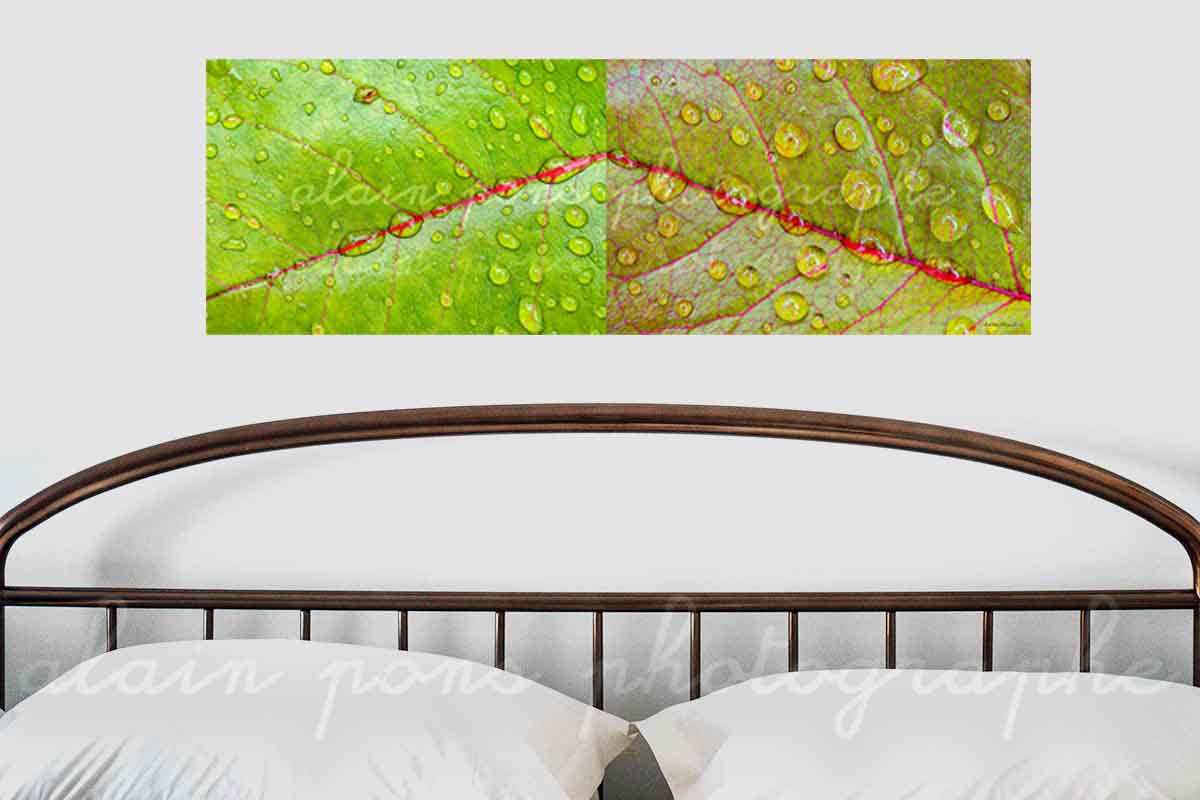 photographie au format panoramique de 2 feuilles d'arbre, une verte et une marron en symétrie, avec des gouttes d'eau. Présentée ici en décoration dans une chambre.