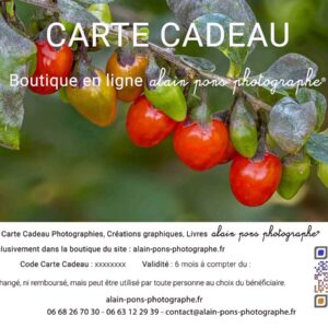 carte cadeau boutique, visuel baies de goji