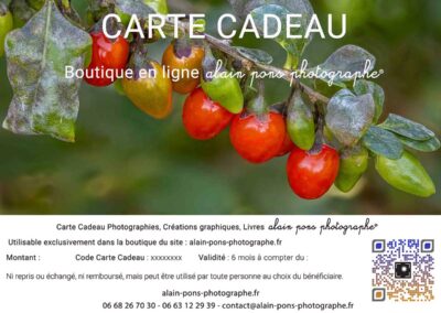 carte cadeau boutique, visuel baies de goji