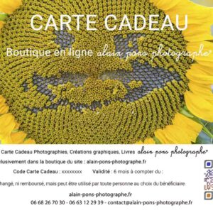 carte cadeau boutique, visuel tournesol clown