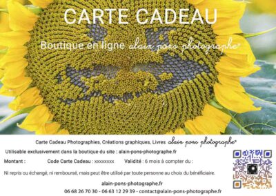 carte cadeau boutique, visuel tournesol clown