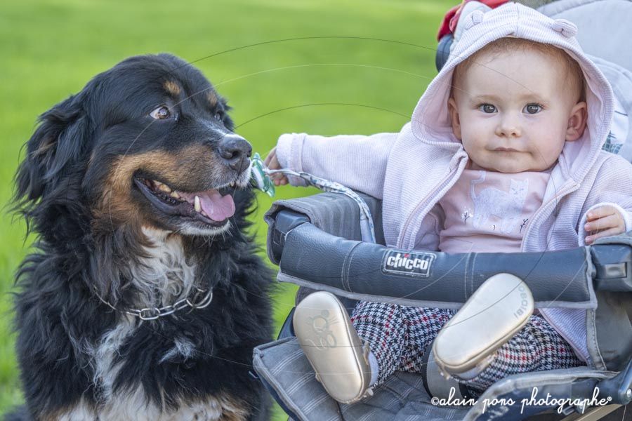 photographie d’une petite fille dans sa chaise, avec son chien à sa hauteur photographie d'une petite fille dans sa chaise, avec son chien à sa hauteur