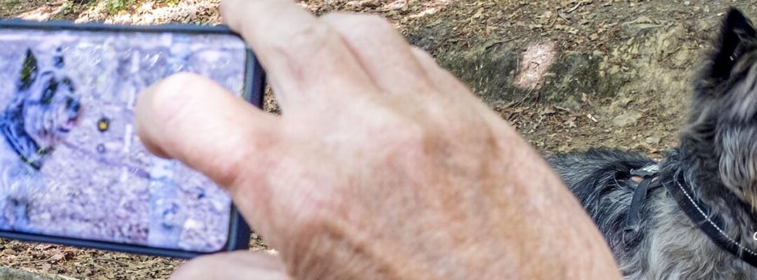 Photographie au smartphone ou reflex ou hybride ?