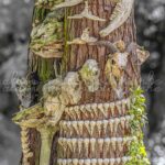 photographie l'arbre aux crânes