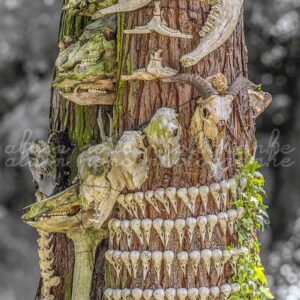 photographie l'arbre aux crânes, un tronc d'arbre sur lequel sont attachés des crânes et os d'animaux.