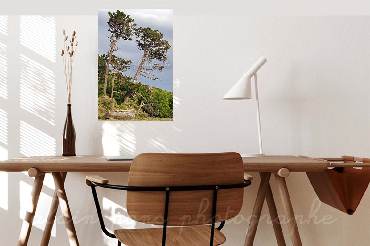 photographie le bateau et les arbres ria Le Conquet. En décoration dans votre bureau.