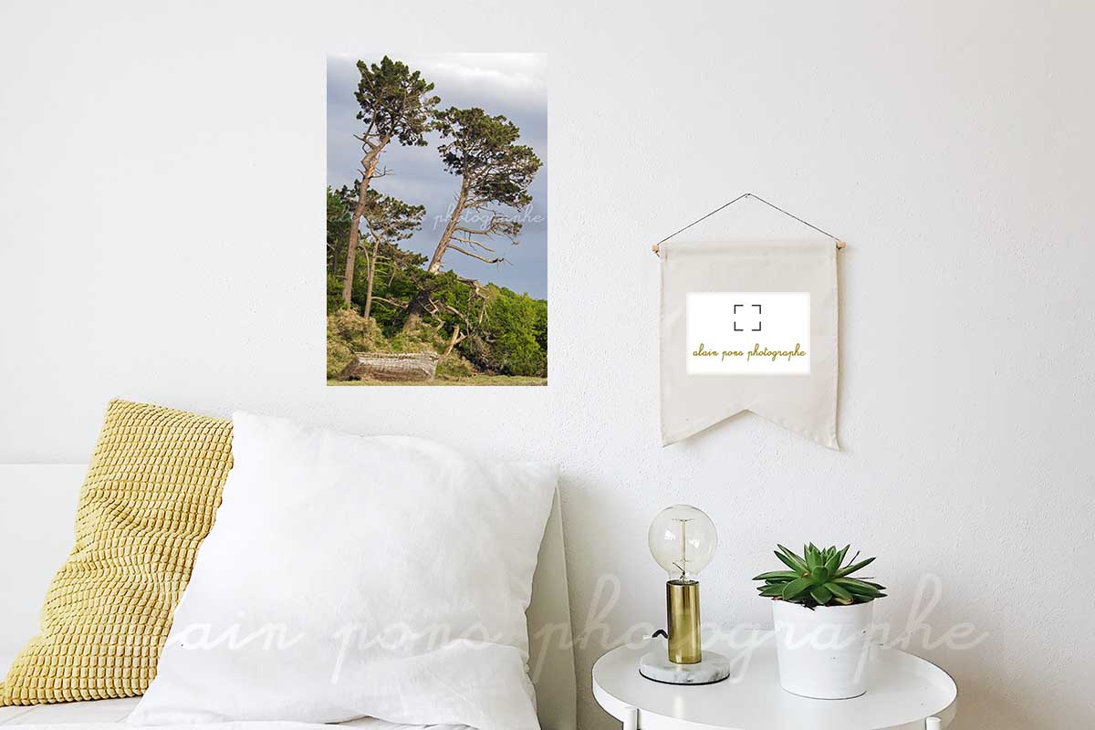 photographie le bateau et les arbres ria Le Conquet. En décoration dans votre chambre.