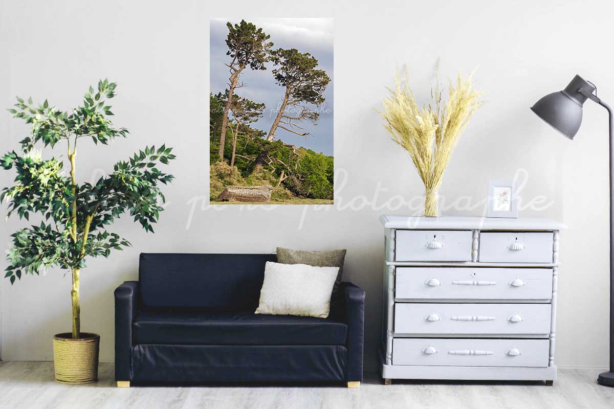 photographie le bateau et les arbres ria Le Conquet. En décoration dans votre salon.