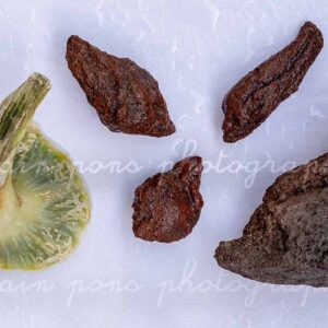 photographie pareidolie scorie humain, une nature morte