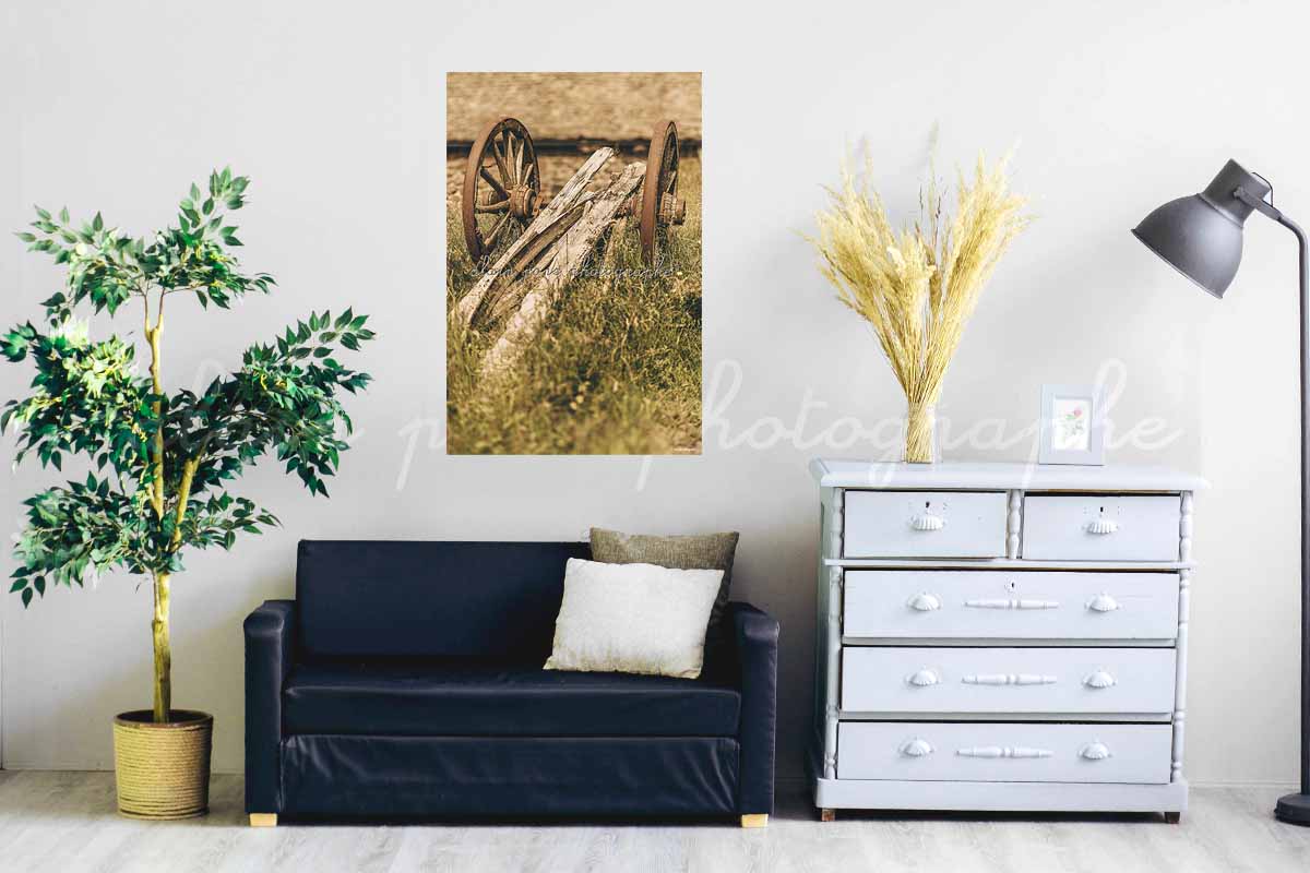 photographie la charrue avant les bœufs, ici en idée de décoration dans un salon.