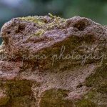 photographie un Korrigan en roche volcanique