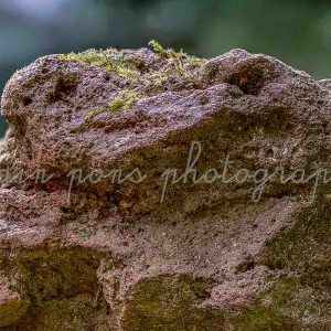 photographie un korrigan en roche volcanique, paréidolie