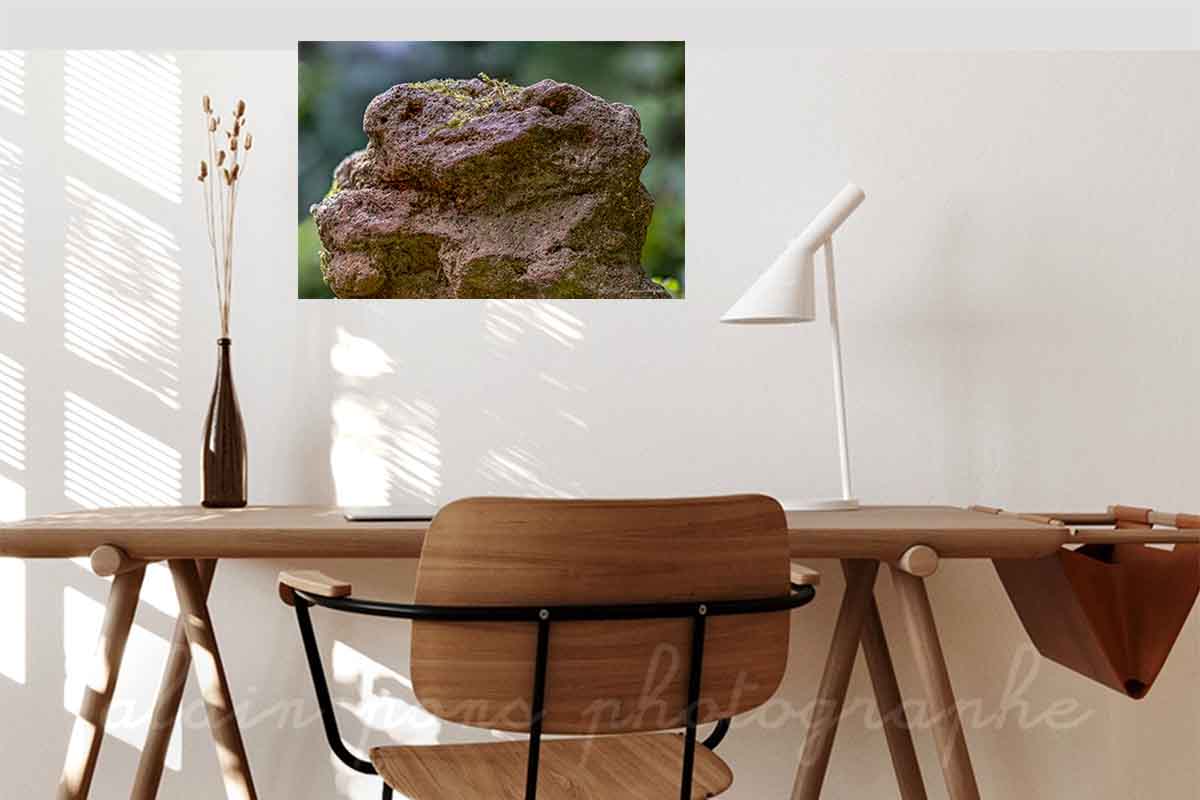 photographie un korrigan en roche volcanique, paréidolie, idée de décoration dans un bureau
