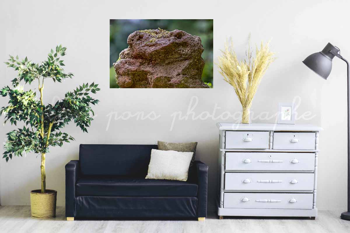 photographie un korrigan en roche volcanique, paréidolie, idée de décoration dans un salon