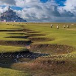 Méandres et moutons au Mont-Saint-Michel 