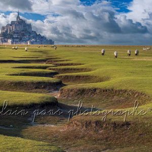 photographie des Méandres avec des moutons devant le Mont-Saint-Michel.