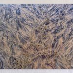 La Nature a des yeux en 60x40cm sur aluminium brillant