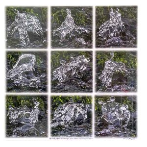 photographie elfe troll farfadet lutin korrigan créatures en paréidolie, format 60cm x 60cm